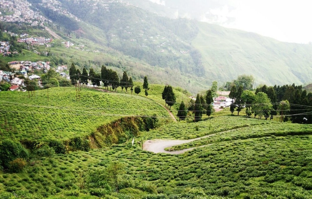 Hotel Rio at Happy Valley Tea Estate